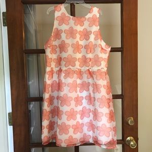 BB Dakota floral dress 14